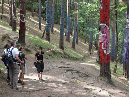 Una imagen de archivo del Bosque de Oma, en Bizkaia.