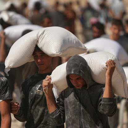 Palestinians carry sacks of flour taken from a humanitarian aid convoy en route to Gaza City, in the outskirts of Beit Lahiya, northern Gaza Strip, Friday, Aug. 1, 2025. (AP Photo/Jehad Alshrafi)