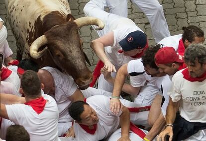 Los mozos corren junto a uno de los cabestros durante el primer encirro de San Fermín celebrado este domingo.