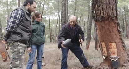 Tres resineros en Tardelcuende, Soria. 