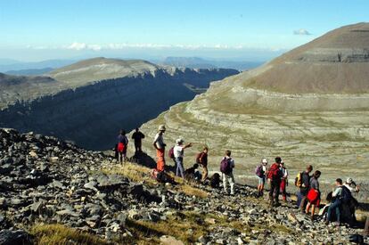 Por encima del bosque están los pastos de montaña (no es difícil ver la flor de nieve) y el roquedo, y en la mismísima punta del Perdido, y solo en estas cumbres, el colmo de la supervivencia: saxífragas, silenes y androsaces aguantando entre las grietas.