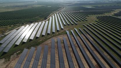 Una planta fotovoltaica, en Almaraz (Cáceres).