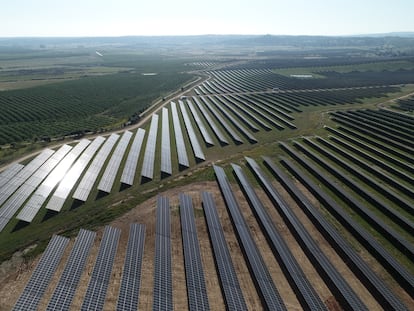 Una planta fotovoltaica, en Almaraz (Cáceres).