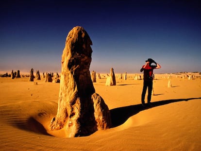 Las formaciones de roca caliza del desierto de los Pin&aacute;culos, cerca de la localidad de Cervantes, en Australia Occidental. 