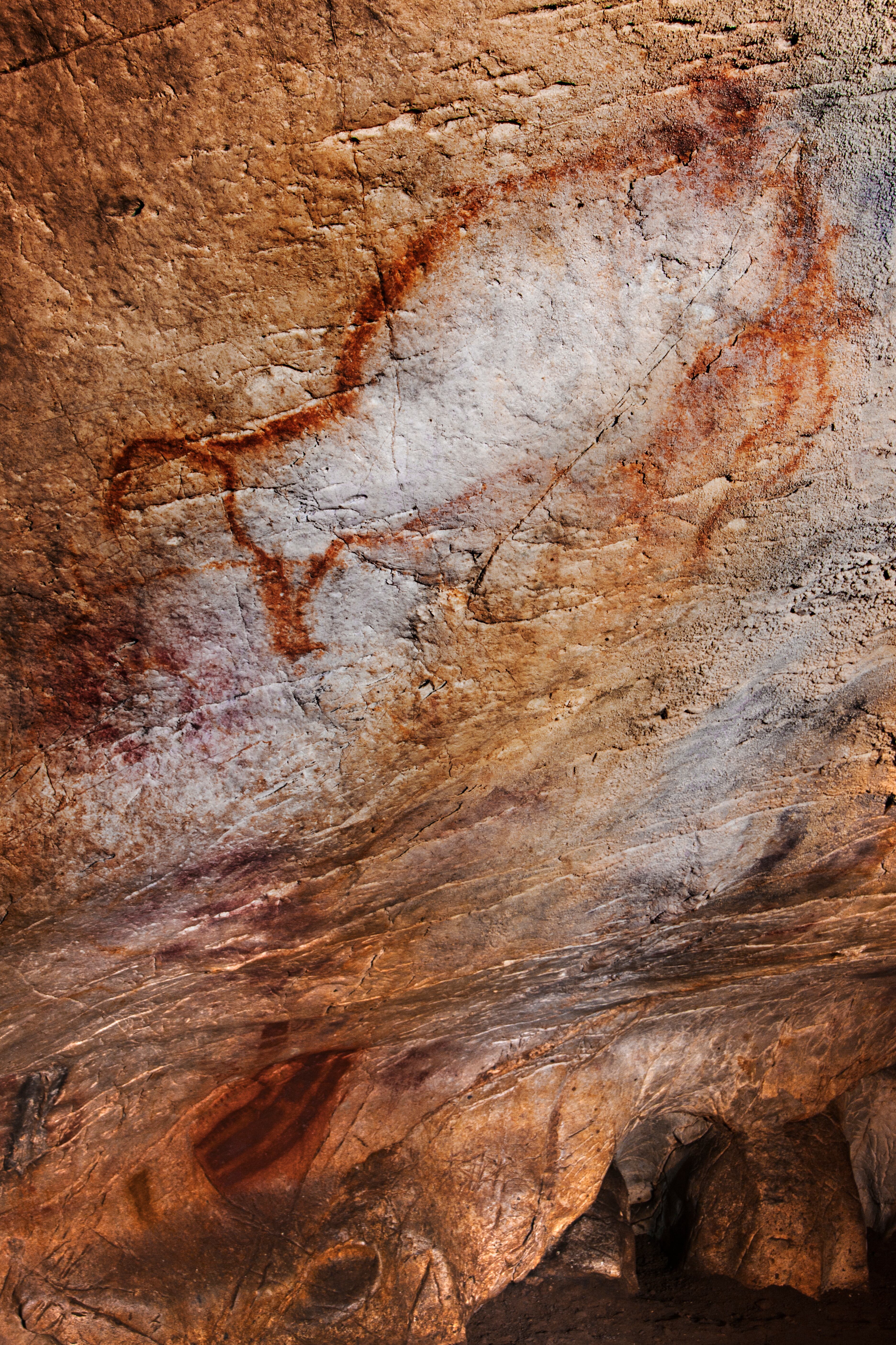 Dibujo de un bisonte en la cueva del Castillo, en Puente Viesgo.