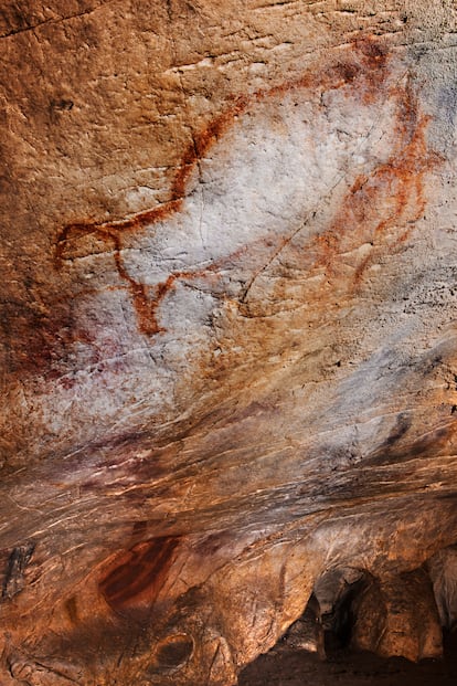 Dibujo de un bisonte en la cueva del Castillo, en Puente Viesgo.