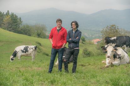 Felipe Gómez (a la izquierda) y su primo Manuel Osoro, junto a algunas cabezas de vacuno de leche en Villacarriedo (Cantabria).