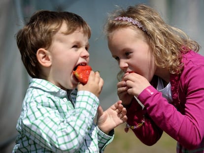 Se seus filhos comem frutas não é mera questão de sorte
