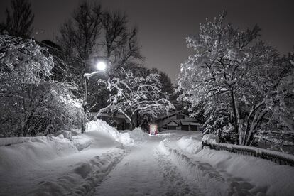 Parque Nakajima, Hokkaido, Japón. (Roadside Lights II)