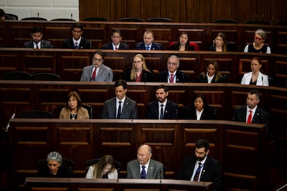 Republicanos en el Consejo Constitucional