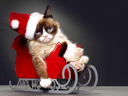 Me deprime la Navidad, ¿qué hago?