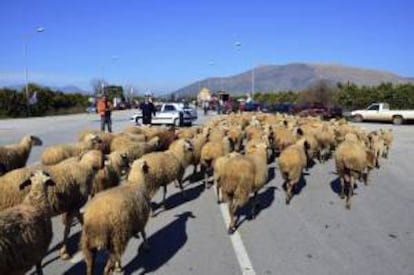 Un grupo de agricultores emplean tractores y ovejas para bloquear una carretera cerca de la ciudad de Argos, Grecia. EFE/Archivo