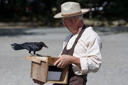 Christophe Gaborit, a cargo de la cetrería en el parque temático Le Puy du Fou, observa a uno de sus cuervos, entrenado para recoger colillas y desechos en el estacionamiento de Le Puy du Fou, en Les Epesses, en el oeste de Francia.