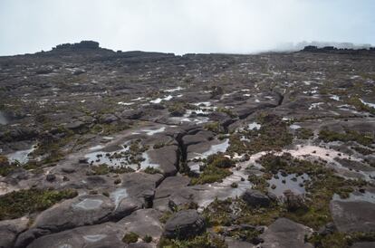 El tepuy Roraima se eleva 2.810 metros, pero debajo arrastra 2.000 millones de años de historia geológica. Este es uno de los lugares más antiguos del planeta y sus particulares formaciones rocosas de areniscas, abismos, bancos de arena de cuarzo rosado, cuevas, especies por descubrir y vegetación insólita, recogida en las bitácoras de los expedicionarios que han subido esta montaña desde finales de 1800 inspiraron, a Arthur Conan Doyle para escribir su clásico de aventuras El mundo perdido.