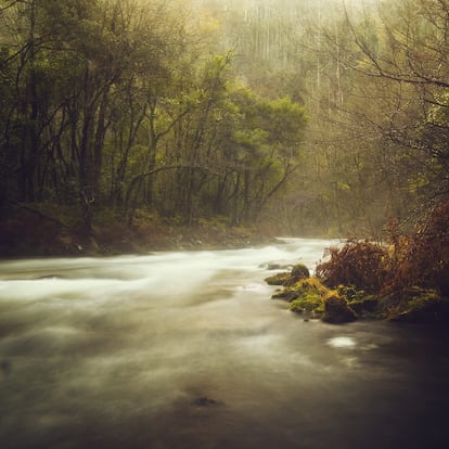 Foggy river