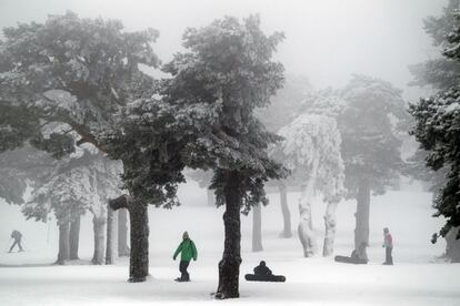 Nieve en el Puerto de Navacerrada (Madrid).