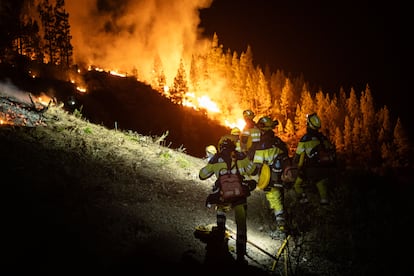 Varios bomberos forestales se enfrentan a un incendio en Tenerife, el pasado mes de agosto.