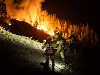 Varios bomberos forestales se enfrentan a un incendio en Tenerife, el pasado mes de agosto.