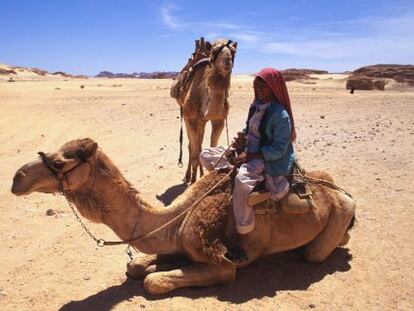 Un beduino monta un dromedario en el desierto.
