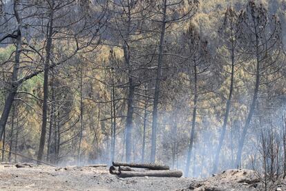 La zona de la comarca de Las Hurdes (Cáceres) calcinada por el incendio, el lunes 22 de mayo