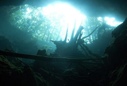 La selva desde el cenote de Chac Mool.