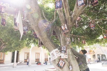 Martha Alicia Peñaflor, integrante del Colectivo Salamanca Unidos Buscando Desaparecidos, cuelga una foto de una joven desaparecida en el Árbol de Esperanza en el jardín principal de Salamanca, Guanajuato, el 19 de enero de 2024. 