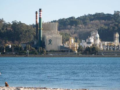 Vista de la planta de Ence en Pontevedra.