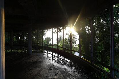 Los rayos del sol se cuelan entre la vegetación que rodea el ventanal del que fuera el bar del Hotel Ducor en Monrovia, Liberia, el 1 de octubre de 2017. El hotel Ducor fue en su día el más prominente de África. Construido en el punto más elevado de Monrovia por el israelí Moshe Mayer en 1960, cerró sus puertas 29 años después tras haber sido el primer establecimiento hotelero de 5 estrellas en el continente. Frecuentado por políticos, diplomáticos y empresarios de toda África y extranjero, fue un ejemplo de los años prósperos que vivió en aquella época la África occidental. Sus instalaciones acogieron numerosas reuniones entre líderes africanos y numerosas anécdotas envuelven su historia, como una del dictador ugandés Idi Amin, de quien se dice que se zambulló en su piscina con pistola incluida. El Ducor fue usado tamibén como posicionamiento de tiro por los compatientes del ex presidente liberiano Charles Taylor durante el sitio de Monrovia por las fuerzas rebeldes en 2003. Desde entonces, una espesa vegetación rodea cada uno de los rincones de este edificio desértico de estilo art déco.