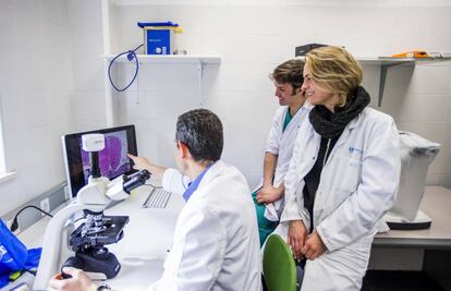 El equipo del doctor Encimas, del Hospital Universitario La Paz, recibió una ayuda de la Fundación Mutua para su investigación.