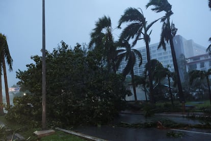 Un árbol bloquea una avenida de Cancún tras ser derribado por los fuertes vientos y lluvias causados por el ciclón, este 25 de septiembre de 2024.