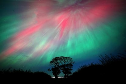 Aurora boreal sobre 'The Kissing Trees', cerca de Kinghorn en Fife, Escocia.