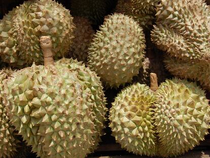 Piezas de durian en un mercandillo de Tailandia