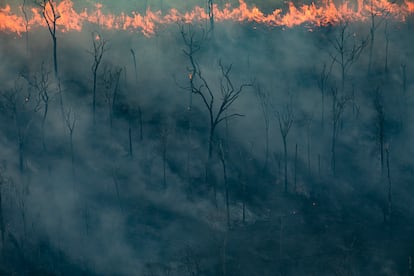 Cerca de la ciudad de Porto Velho, una zona selvática arde, ante la expansión de tierras ganaderas.
