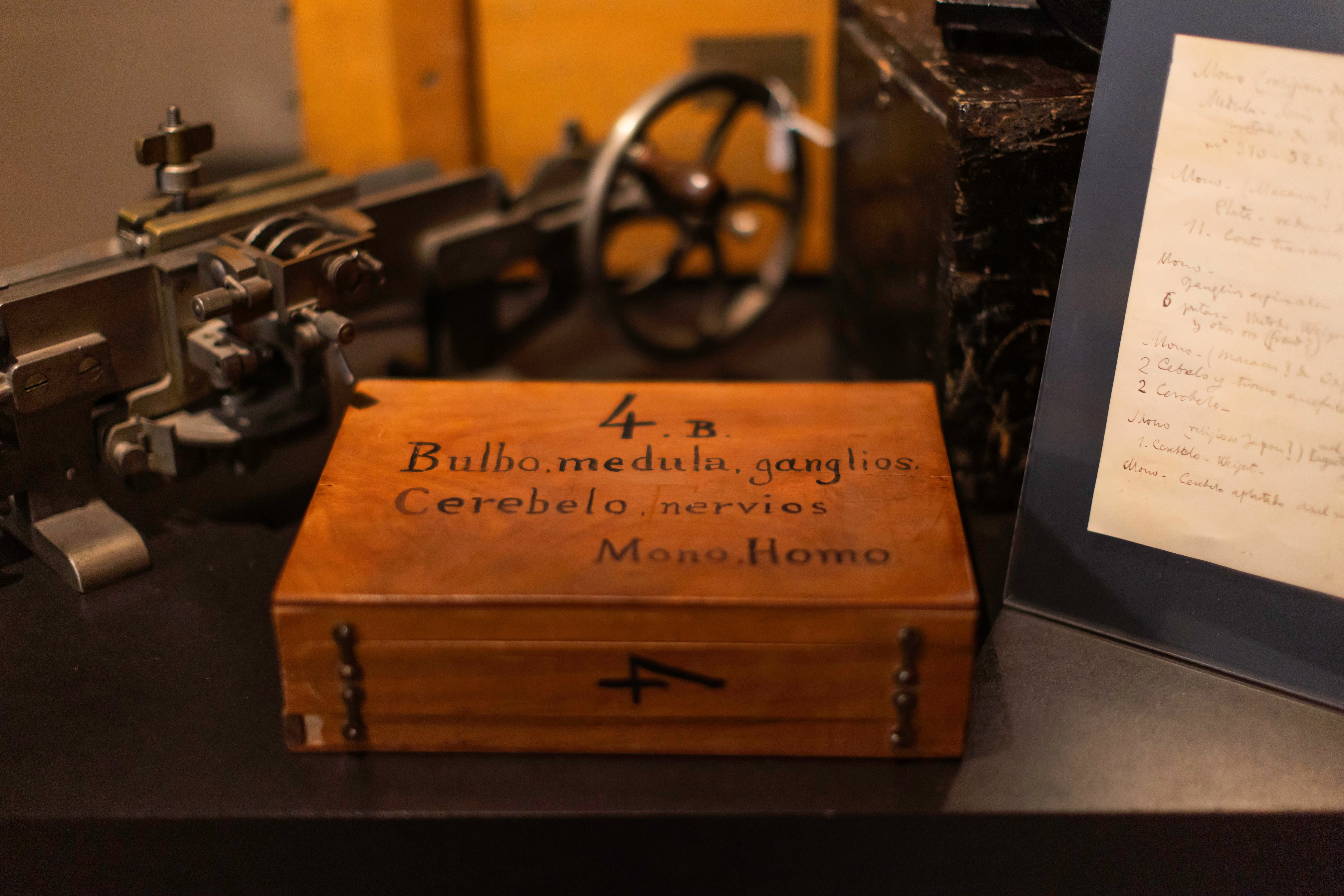 Una caja del neurólogo Luis Simarro para guardar muestras de monos y humanos.