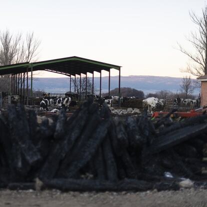 Los afectados por el incendio en la sierra de Navalacruz (Ávila) critican la gestión de la tragedia con las elecciones en su punto de mira