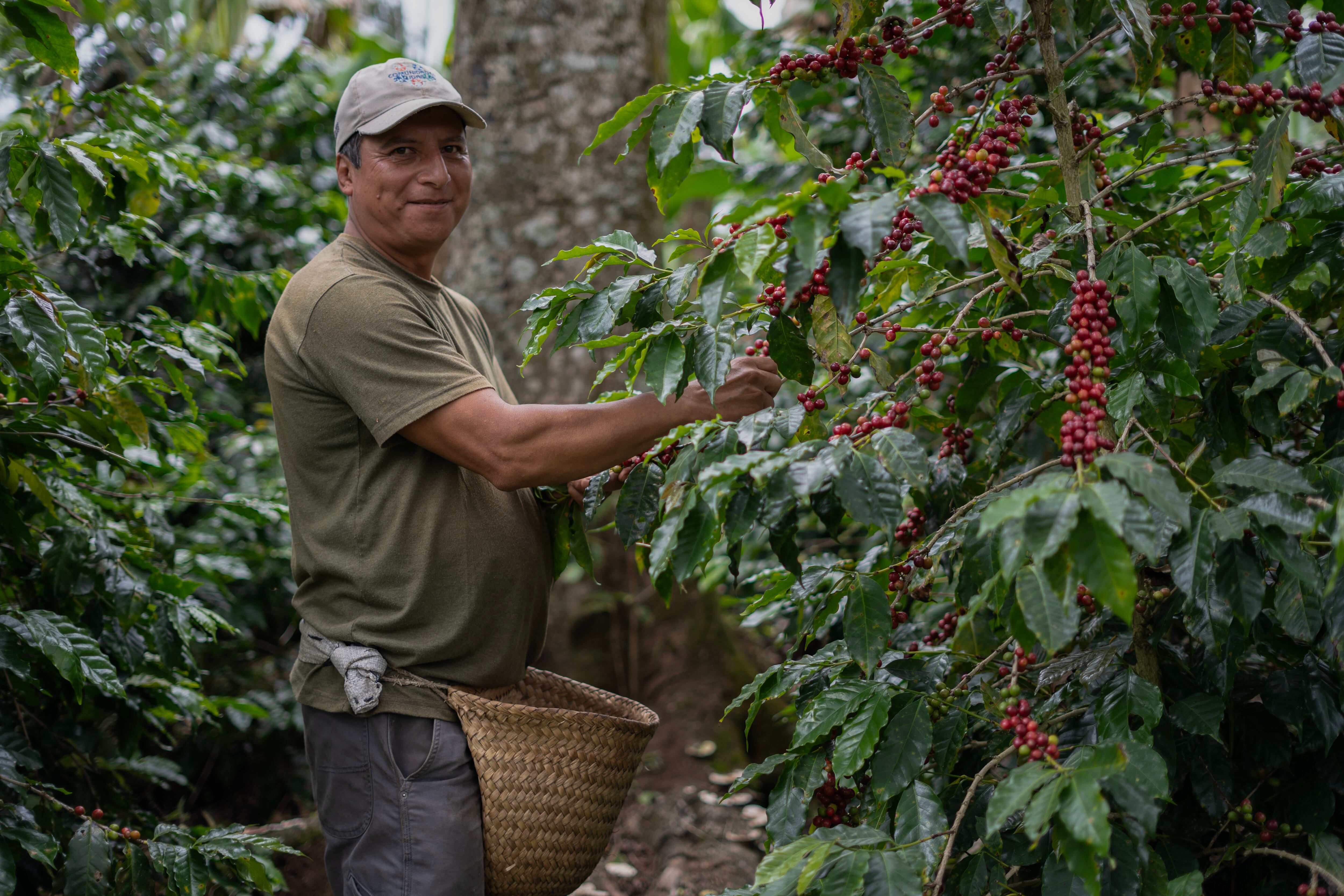 Félix Morales, productor de café de Ixhuatlán.