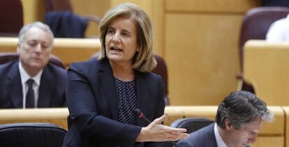 La ministra de Empleo, Fátima Báñez, durante una intervención en el Senado.