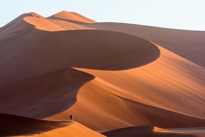 En uno de los desiertos más secos del mundo, el de Namib, al sur de Namibia, el último mes de la estación lluviosa se transforma (más que en agua), en aire fresco y sin polvo, mucho sol y un mínimo de verdor en las curvilíneas dunas de la región de Sossusvlei (en la foto).