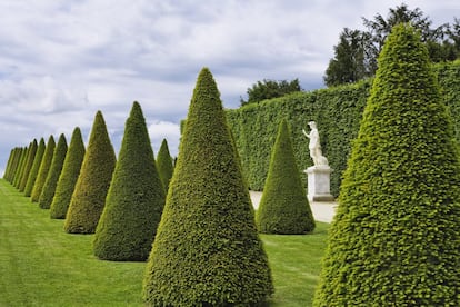 <a href="http://en.chateauversailles.fr/" target="">Versalles, patrimonio mundial</a>, no sería Versalles sin su parque y sus jardines a la francesa. Una alfombra de 800 hectáreas, refinada y majestuosa, que se extiende a las puertas de palacio. Cuenta con 300 hectáreas de bosque, un invernadero de naranjos (L'Orangerie), estatuas y 55 estanques (el más grande de los cuales es el Gran Canal). También tiene fuentes que de abril a octubre bailan sus aguas al ritmo de la música en algunos momentos del día. Abarcarlo todo en una sola jornada es prácticamente imposible, aunque se puede intentar alquilando una bici o un coche eléctrico, o en el trenecito turístico que recorre el Gran Trianón (pequeño palacio de mármol rosa), el Pequeño Trianón o el Dominio de María Antonieta.