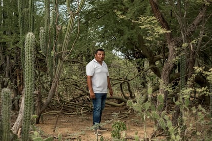 Uno de los pozos construidos en 2017 fue el de la ranchería Walaschen, en Manaure, alimentado por energía fotovoltaica, y que dejó de funcionar a los tres años. Al igual que en otras comunidades, pidieron ayuda a la Fundación Fucai para repararlo, y volvió a funcionar en marzo de 2023. Al poco tiempo, el líder de Walaschen, Libardo Pushaina, en la imagen, se dio cuenta de que con las dimensiones del acuífero y la potencia de bombeo, había agua de sobra para aguantar los periodos de falta de lluvias. Con la ayuda de Fucai, pusieron en marcha en mayo de este año un sistema que lleva el agua sobrante a las rancherías vecinas a través de 800 metros de tuberías metidas bajo tierra.