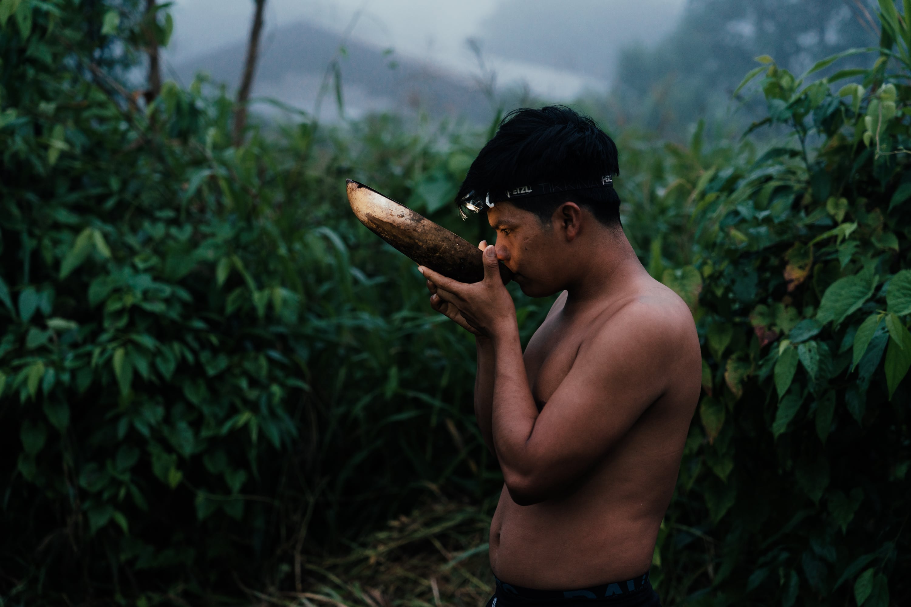 Chakras: soberanía alimentaria y resistencia