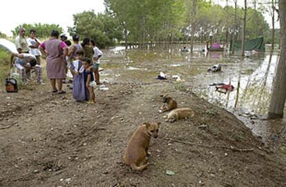 Algunos de los temporeros que tuvieron que ser evacuados ayer en Novilla (Zaragoza).