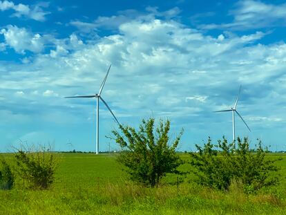 Las energías verdes representan una gran oportunidad de desarrollo para el medio rural.