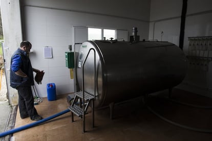 Un transportista recoge la leche de una explotación de Mesía (A Coruña).