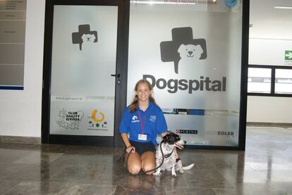 Uno de los perros del programa 'Dogspital'