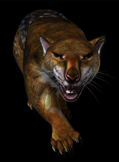 Imagen virtual del león marsupial Thylacoleo carnifex, cuyos restos óseos han sido localizados en una cueva en Australia. Los científicos creen que los fósiles se hallaban en perfecto estado gracias a que estaban dentro de una cueva sellada.