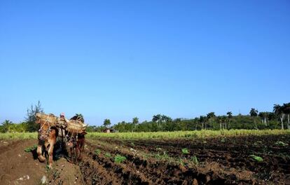 Un campesino trabaja su tierra en Brasil.
