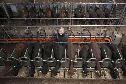 Rafael González, con sus cabras ecológicas en la finca Suerte Ampanera.