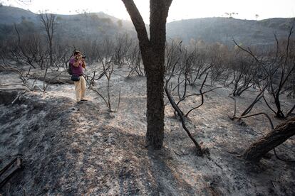 Zona quemada en el incendio forestal en la Sierra Bermeja, este viernes.