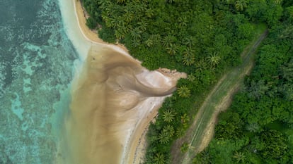 Zona costera de Punta Bandera en Luquillo, donde se ha aprobado la construcción de varios edificios de alta densidad, el 15 de abril.